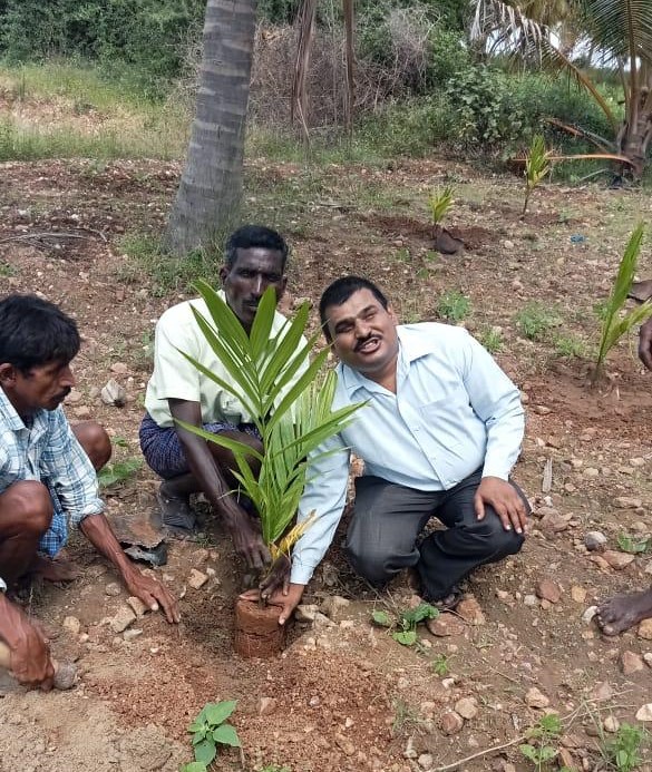 PROJECT 13- MEGA TREE PLANTATION