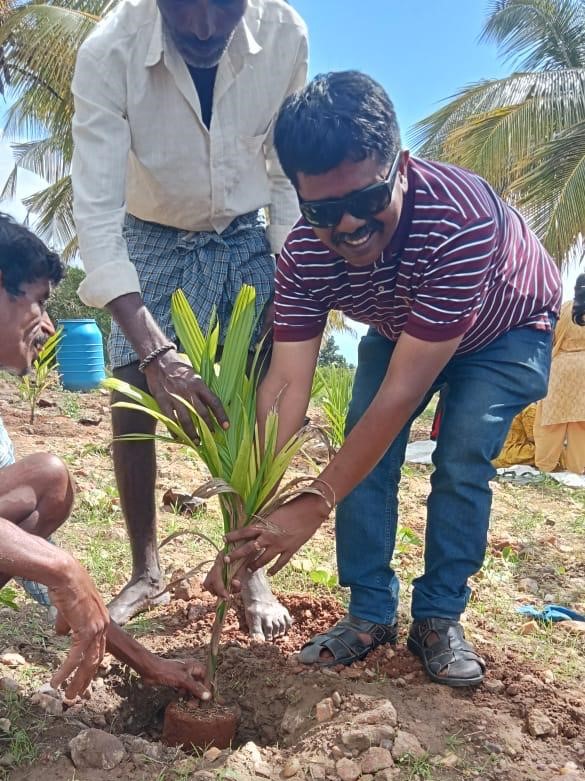 PROJECT 13- MEGA TREE PLANTATION