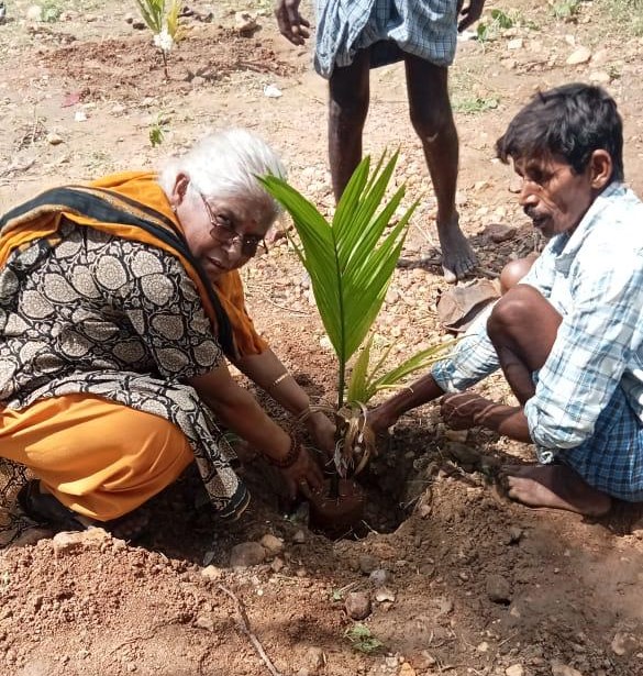 PROJECT 13- MEGA TREE PLANTATION