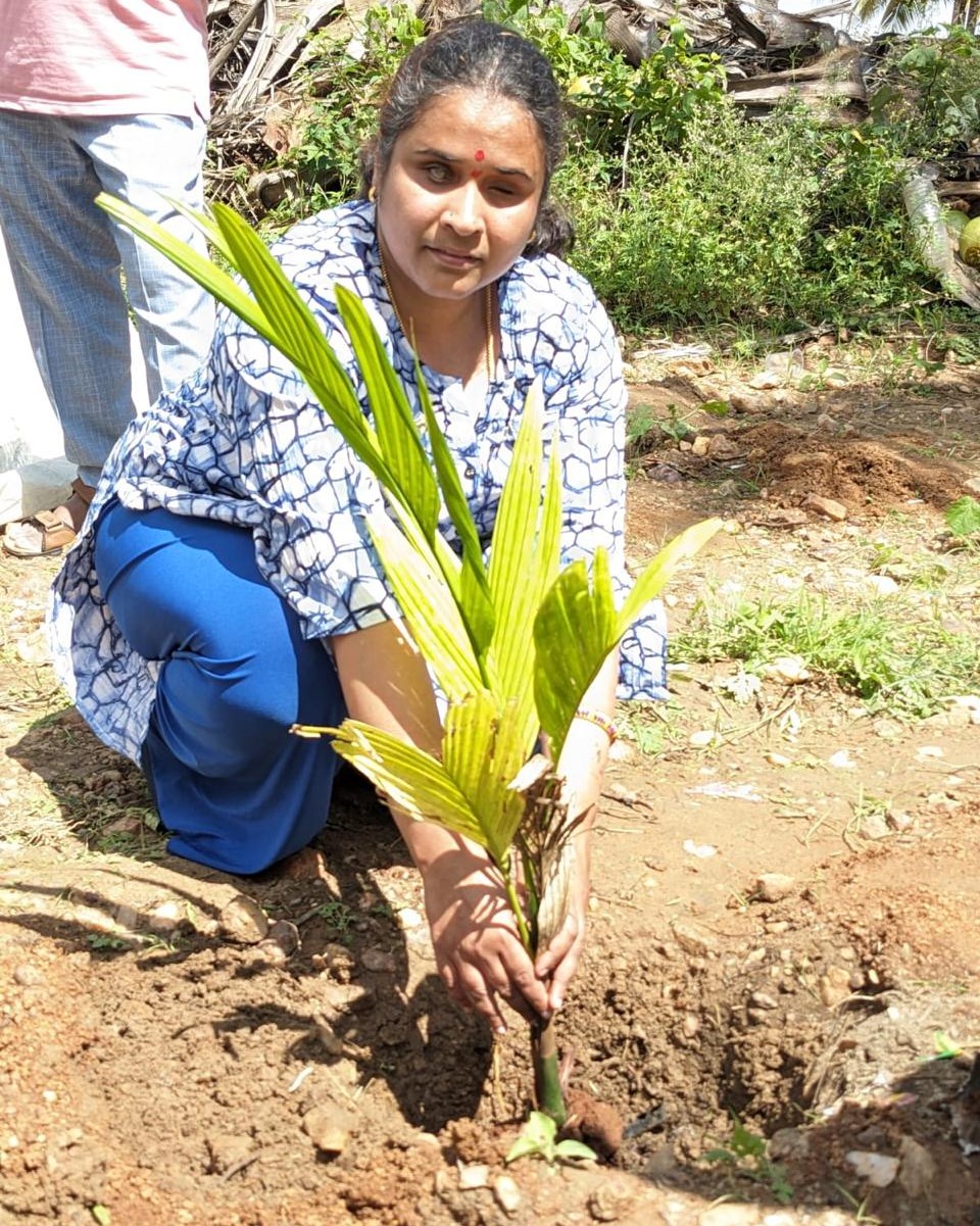 PROJECT 13- MEGA TREE PLANTATION